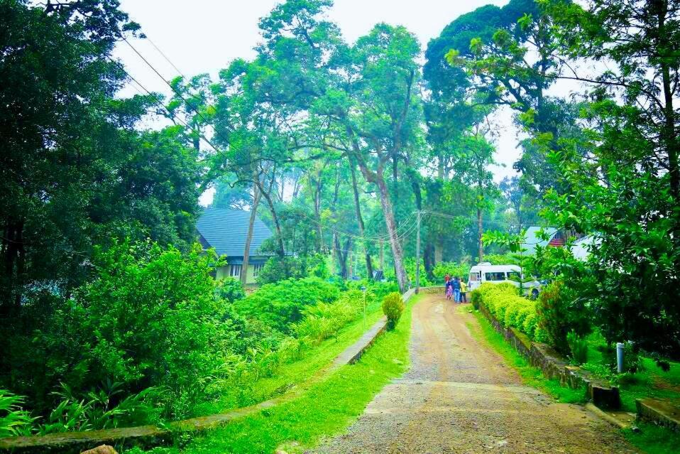 Munnar Tea Estate Cottage And Resort - Away From City Hustle Exterior foto